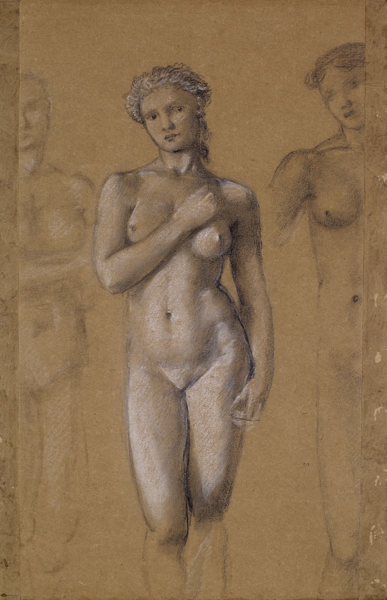 Female Nude  Three Studies possibly for Venus
