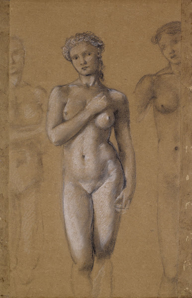 Female Nude  Three Studies possibly for Venus