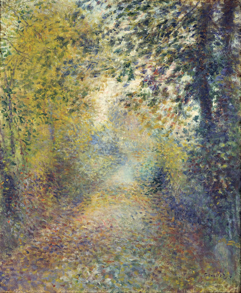 In the Woods