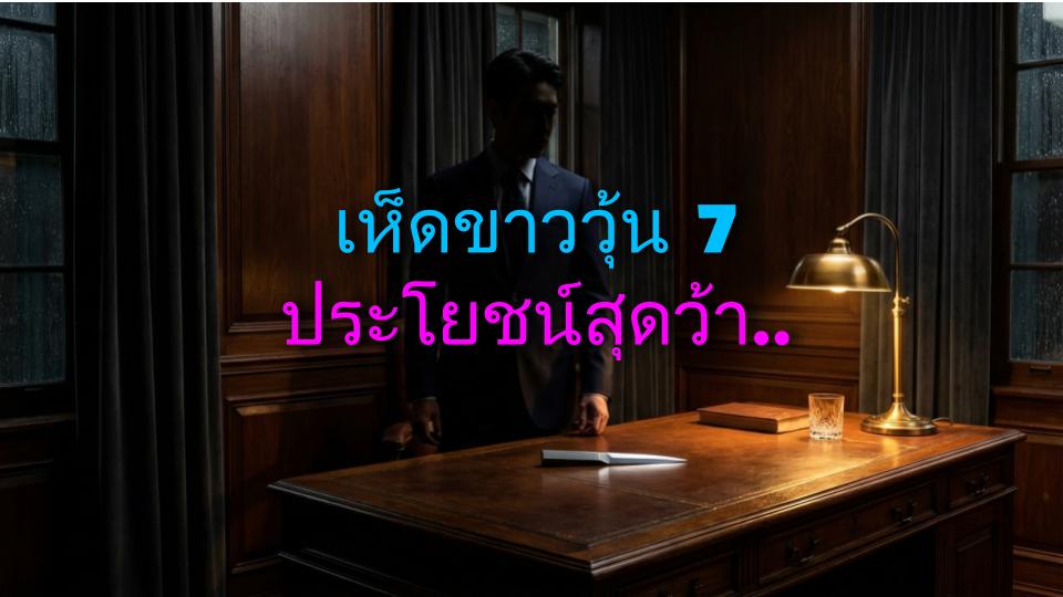 เห็ดขาววุ้น 7 ประโยชน์สุดว้าว! (ราชาแห่งเห็ด) + ประสบการณ์จริงของฉัน