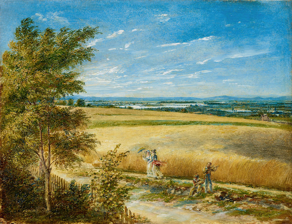 Die Donau mit der alten Reichsbrücke 1822