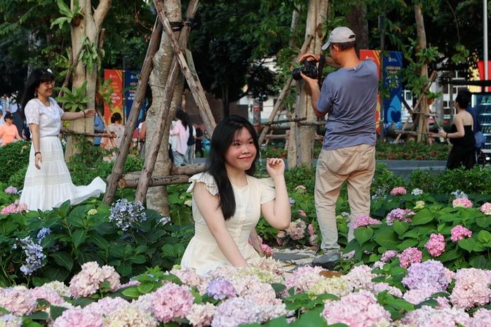 Vườn hoa cẩm tú cầu ở TPHCM ngỡ như Đà Lạt 'gây sốt' giới trẻ - Báo VietnamNet