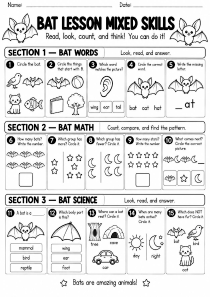 Bat Lesson Mixed Skills Worksheet