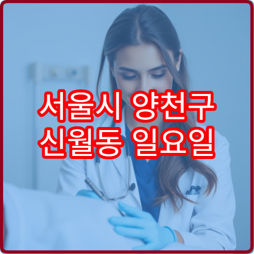 서울시 양천구 신월동 일요일 진료 가능한 정형외과 타박상 염좌 상담 내용