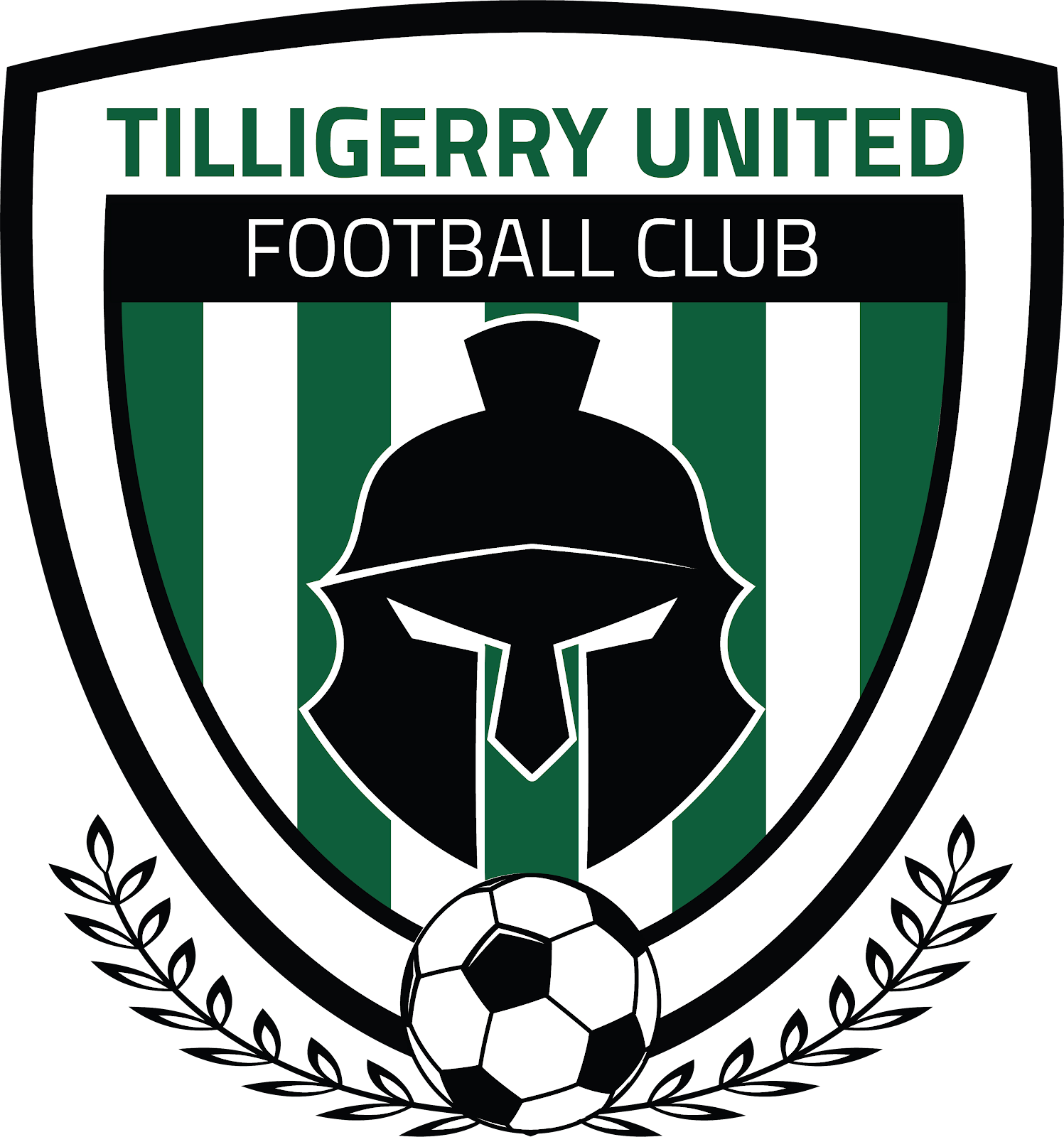 Tilligerry United logo