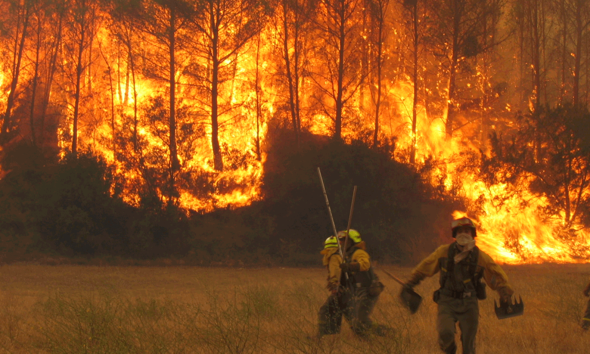 Itae Business School impulsa la excelencia corporativa con su Máster en Gestión de Riesgos, reconocido por el Ranking Innovatec
