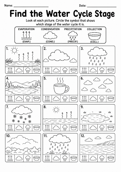 Find the Water Cycle Stage