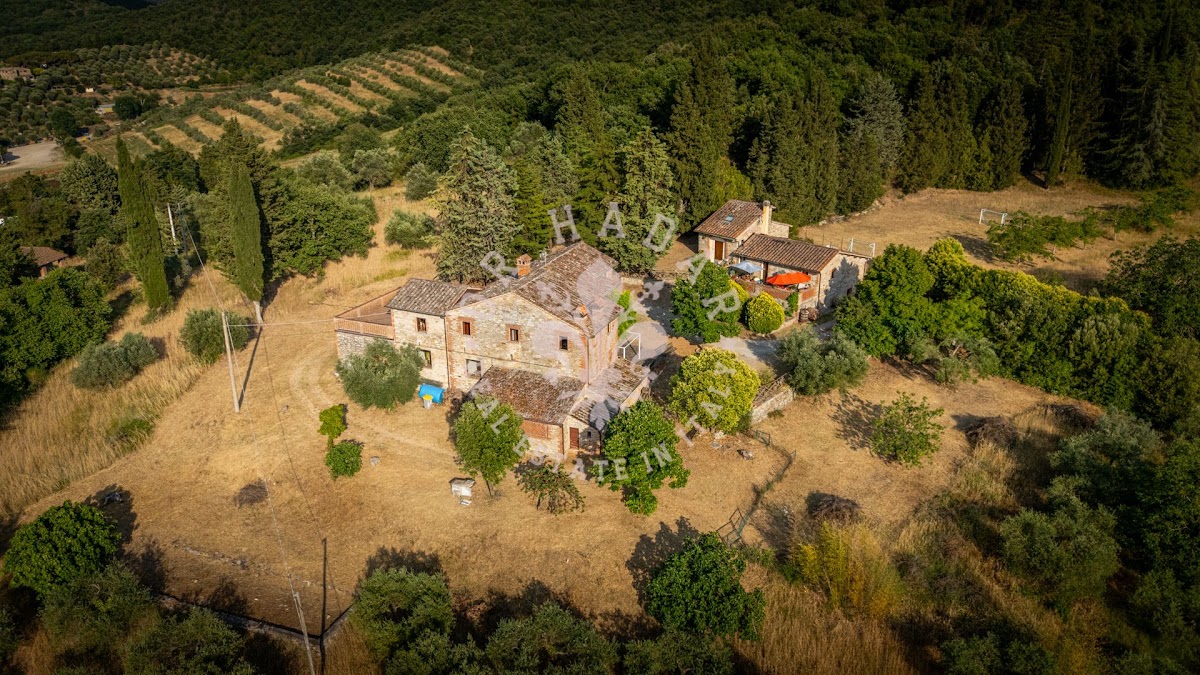 פודרה פוג'ו אל לאגו (Podere Poggio al Lago) — 7