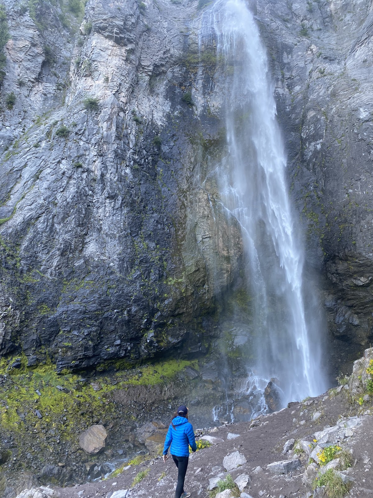 National Park scattering — actual on-site photo