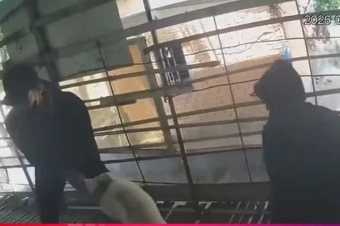 Tạm giữ nhóm thiếu niên trộm 3 con cừu của người dân - Báo Hà Tĩnh