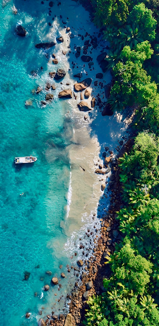 Exotic Beach Drone View Turquoise Ocean Green Jungle - Free mobile Wallpaper