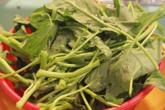Rau muống nhặt, rửa sạch, ngắt lấy từng đoạn vừa ăn, để ráo nước như hình bên.