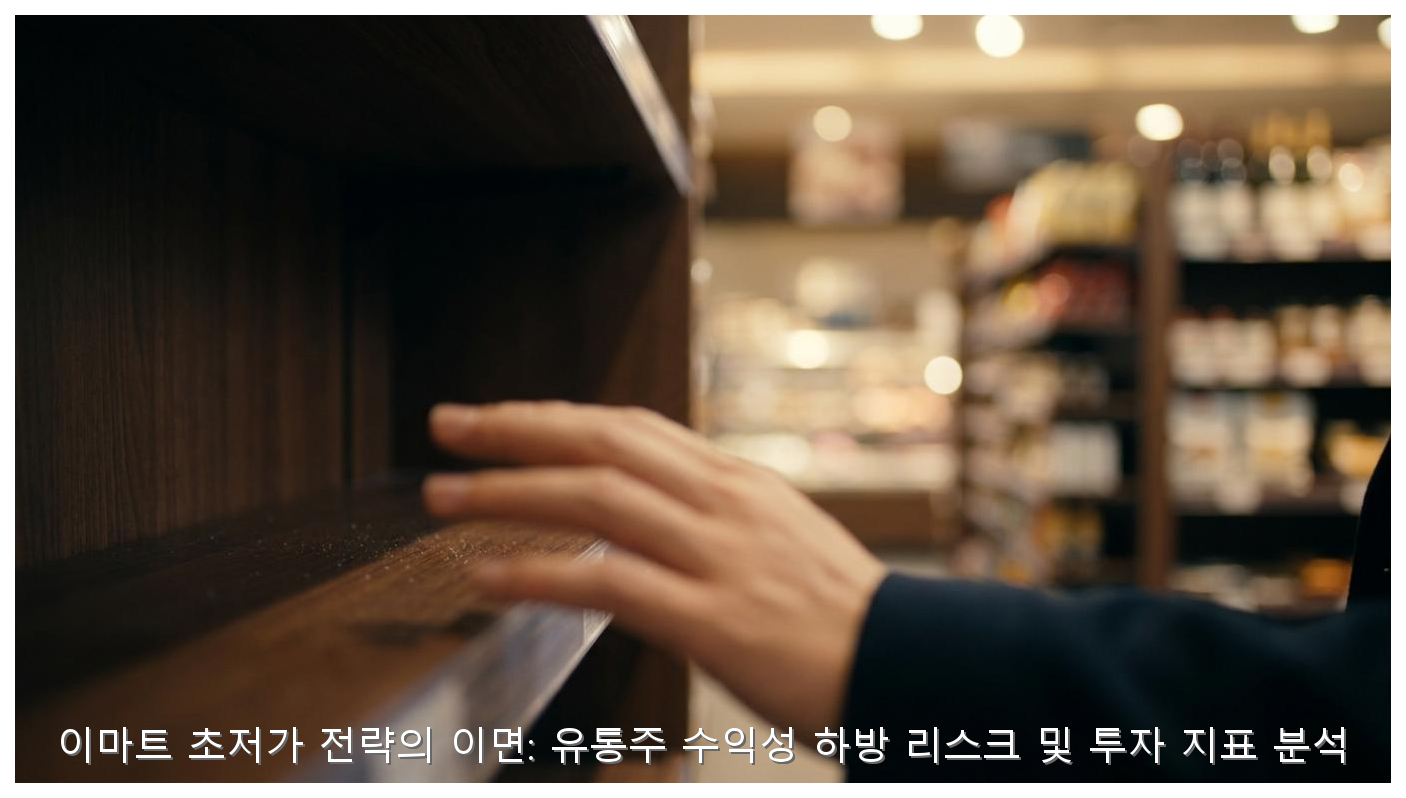 이마트 초저가 전략의 이면: 유통주 수익성 하방 리스크 및 투자 지표 분석 핵심 안내 및 분석 인포그래픽 (2)