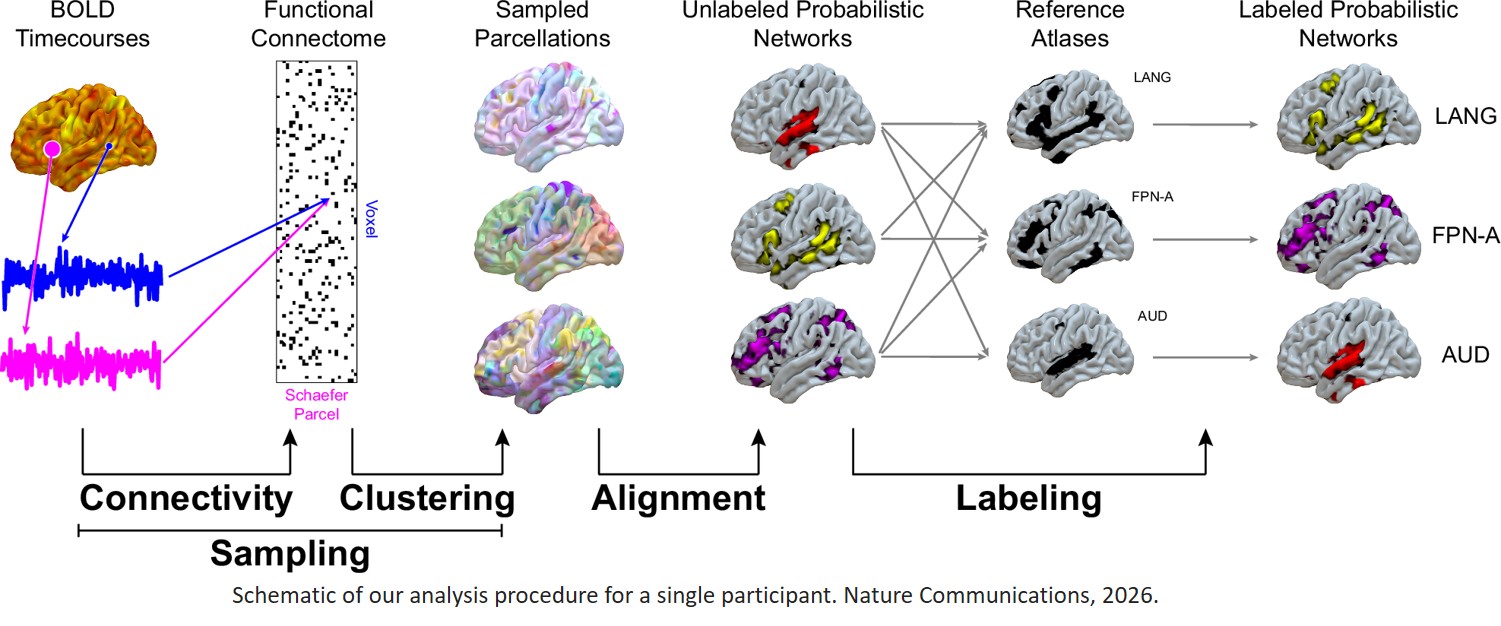 Language-specific brain network identified!