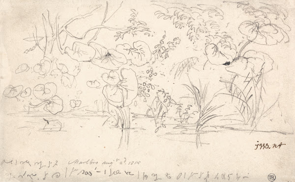 Studies of Plants August 2 1815 1815