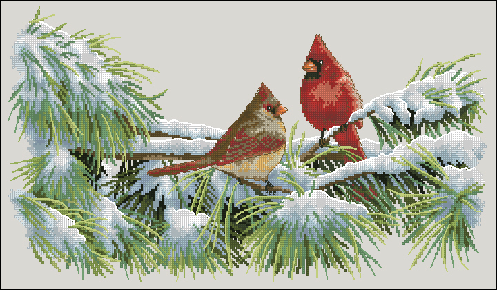 DIM35178 Winter Cardinals