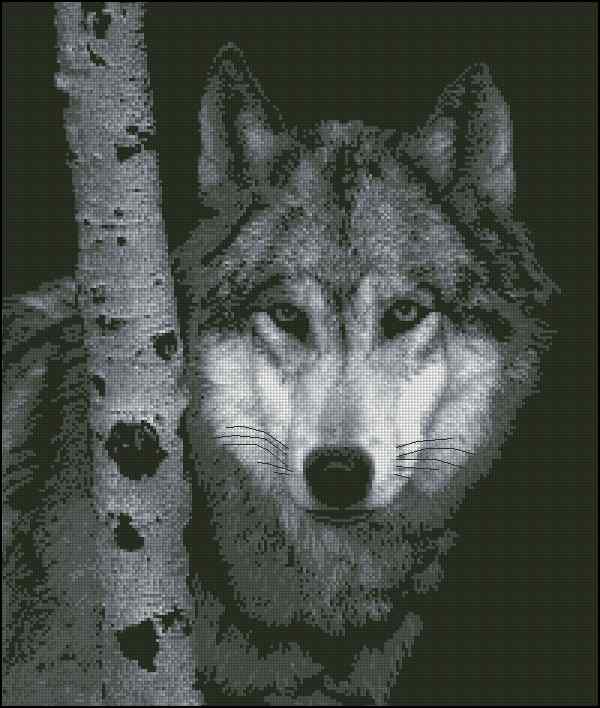 CMP 400391 Lone Wolf