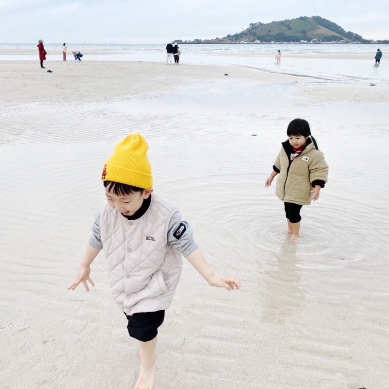 출처: 온라인 커뮤니티