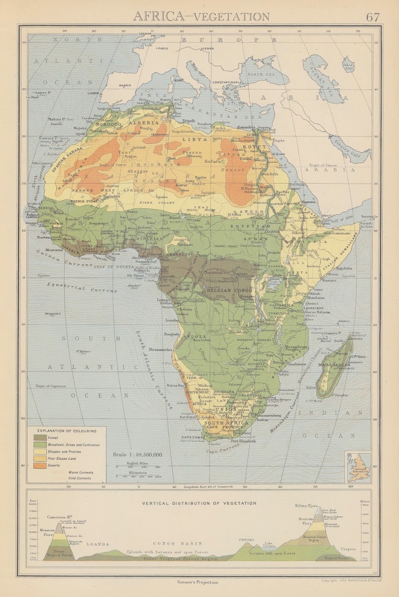 Africa Vegetation 1942