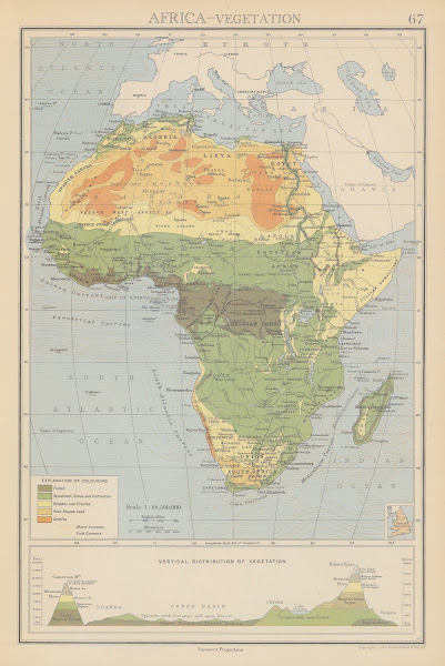 Africa Vegetation 1942