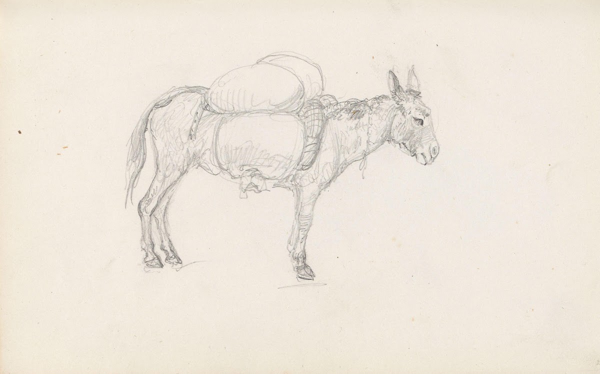 Mules Between 1844 and 1854