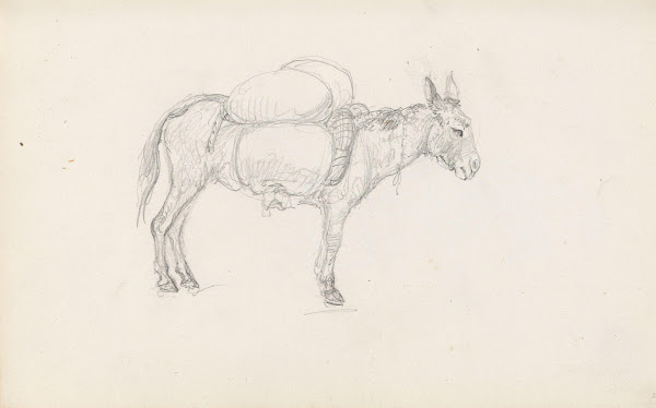 Mules Between 1844 and 1854