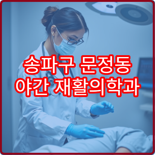 송파구 문정동 야간 재활의학과 진료 병원 도수 치료 운영 정보