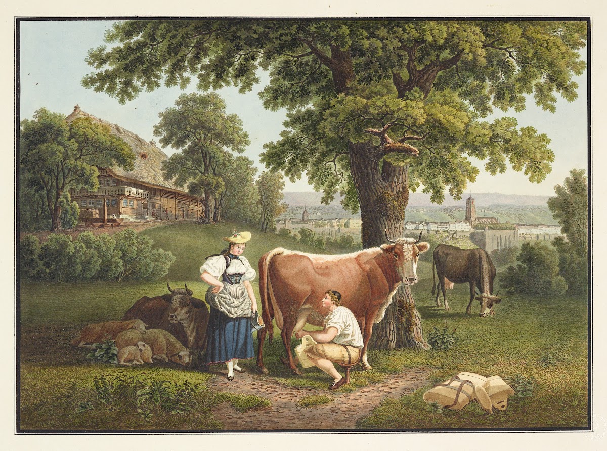 Vue de Berne depuis le Sandrain 1915 1945