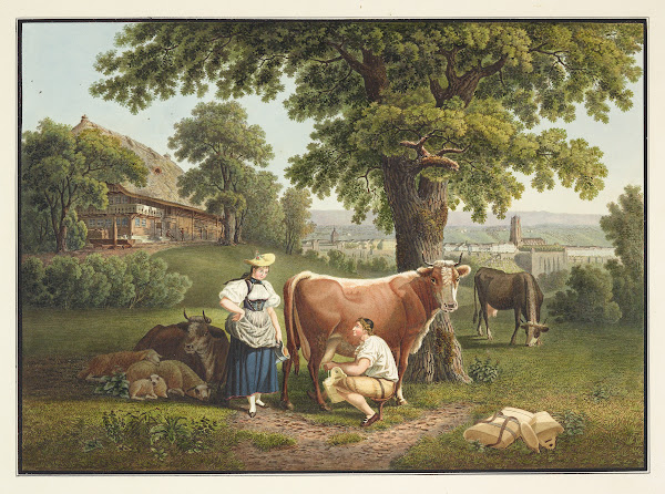 Vue de Berne depuis le Sandrain 1915 1945