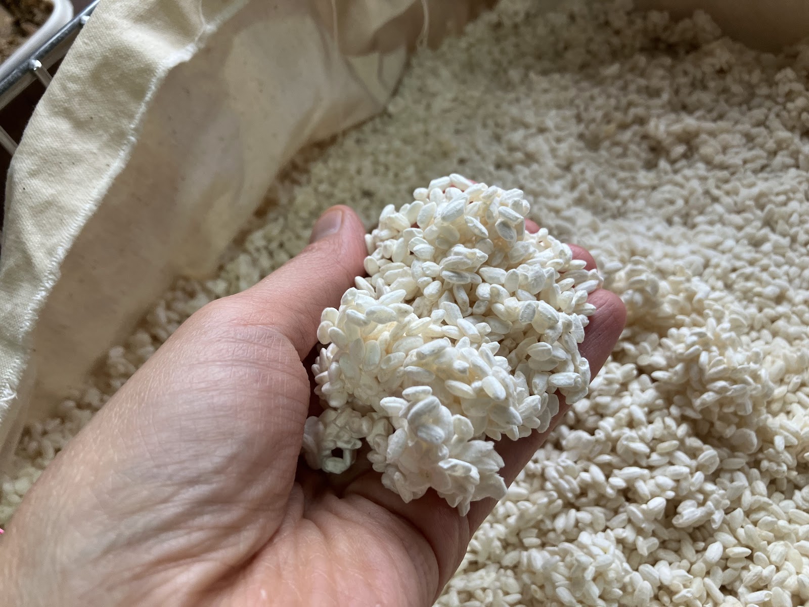 三栗　沙恵の画像