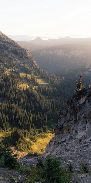 Mountain Landscape, Evergreen Forest, Valley View, Rocky Terrain 5K Wallpaper Background