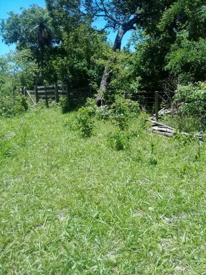 Fazenda em Goiás Velho - GO 3