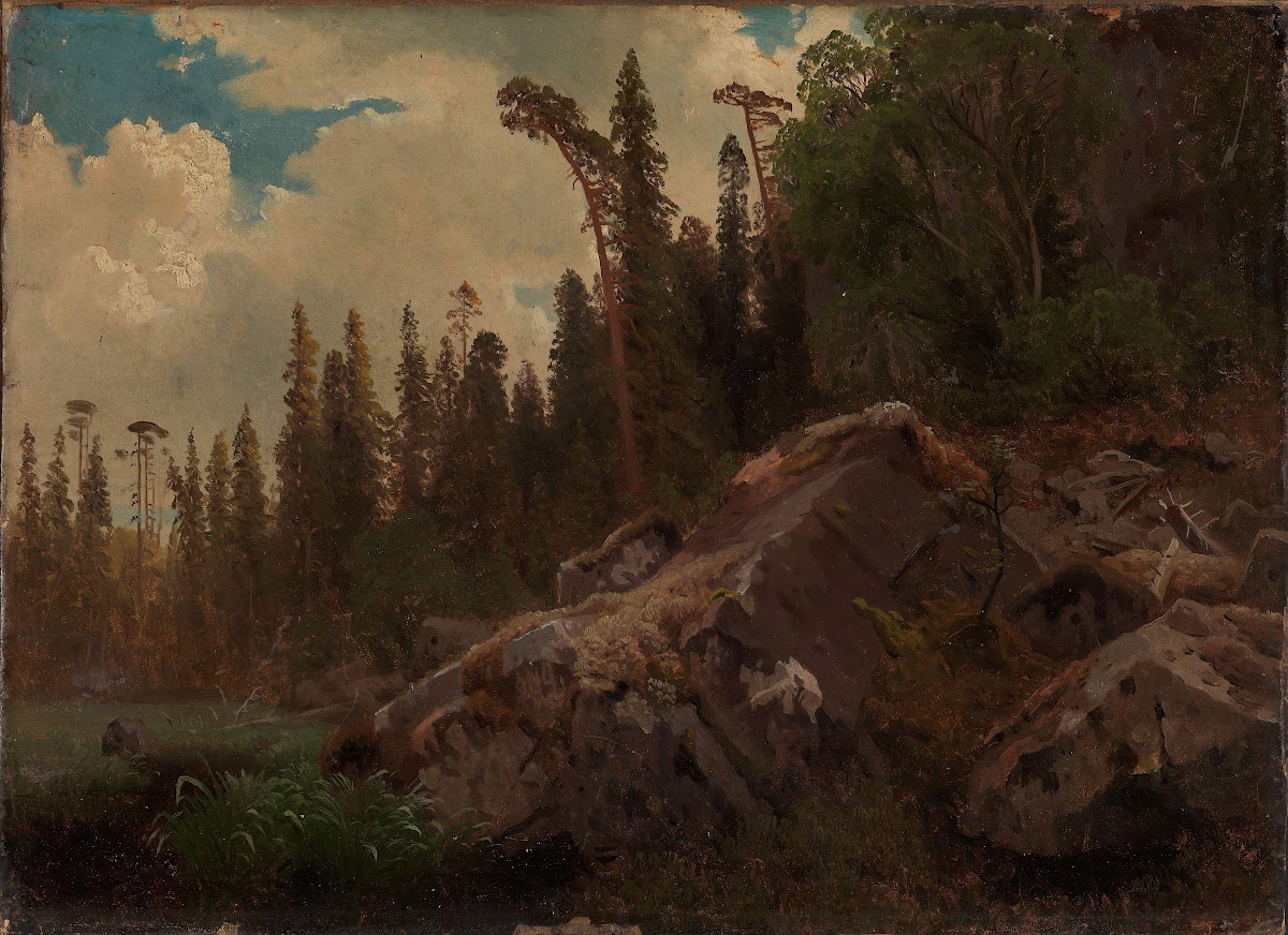 Landscape Study with Trees and Rocks 1851