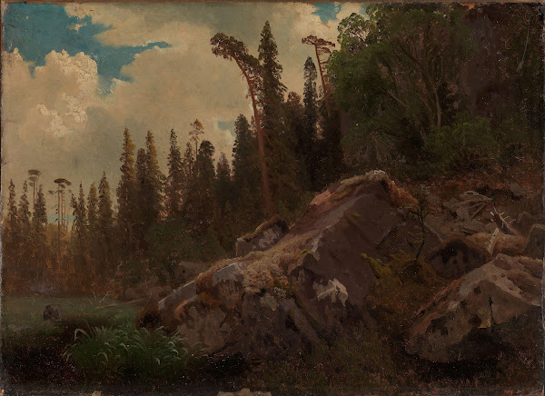 Landscape Study with Trees and Rocks 1851