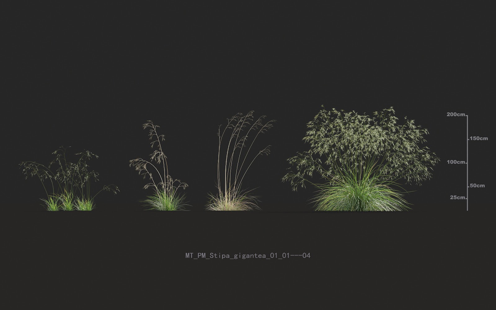 Maxtree - Plant Models Vol.20