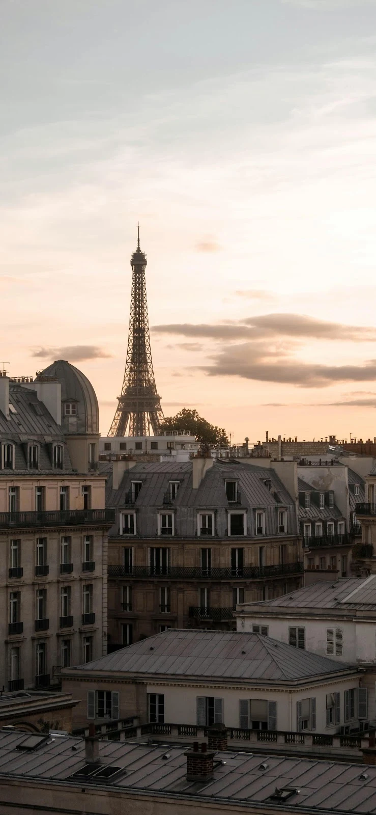 Parisian Rooftops With Eiffel Tower - Urban Travel Photography 5K iPhone Wallpaper (2880x6239)