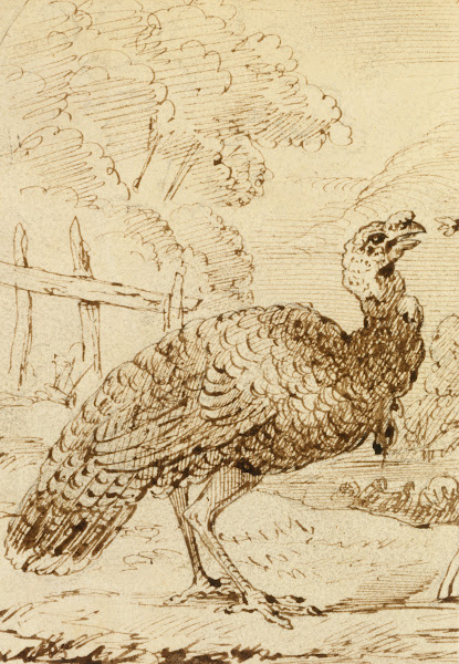 Turkey