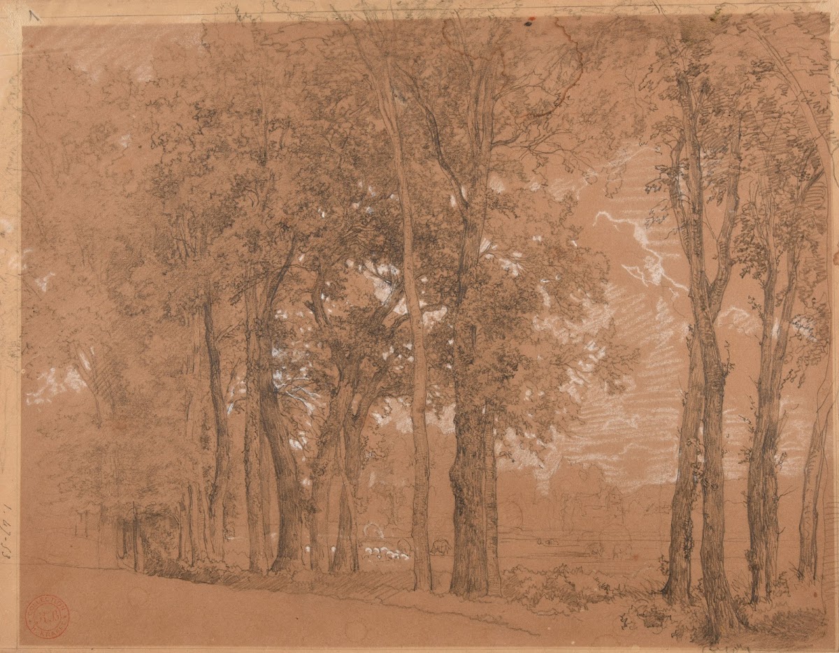 Lisière darbres et pré 1850