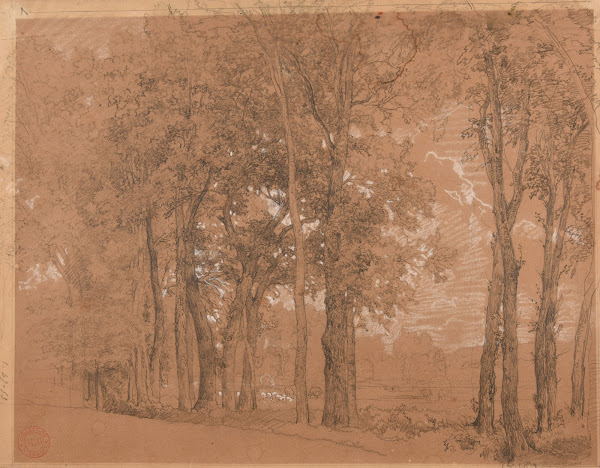 Lisière darbres et pré 1850