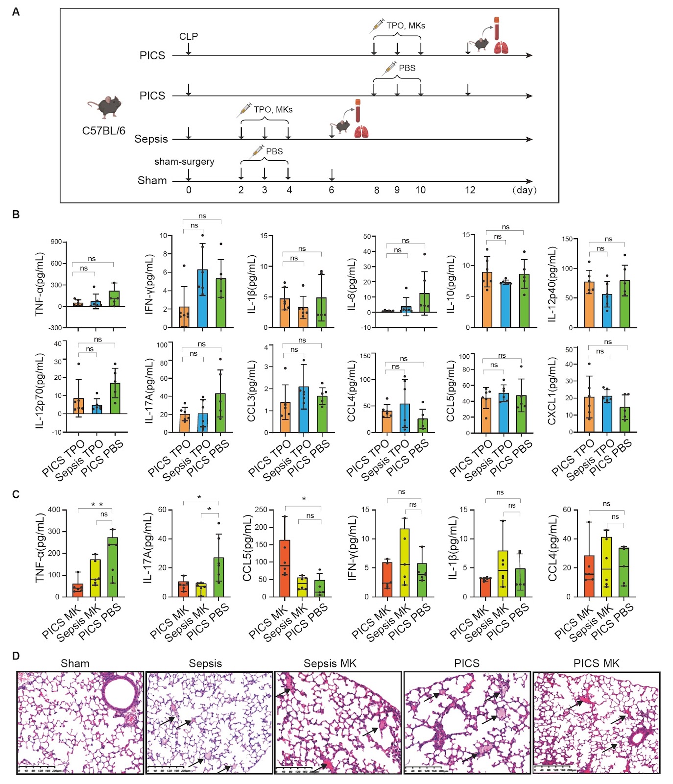 Immune signatures of megakaryocytes in persistent inflammation-immunosuppression and catabolism syndrome