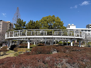 ニュートンリング