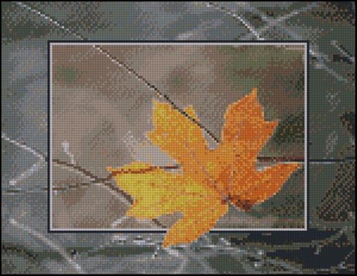 CMP 200604 Pattern