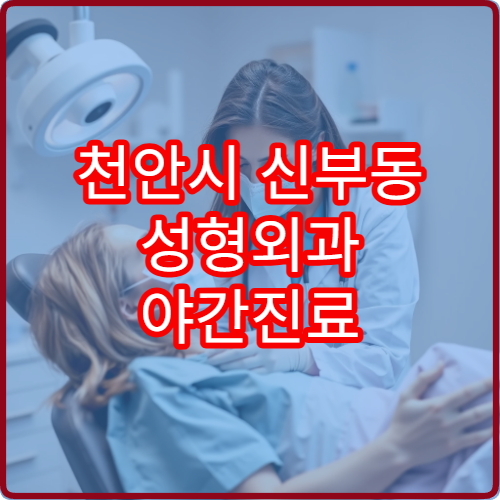 천안시 신부동 성형외과 야간진료 가능한 병원 정보 정리