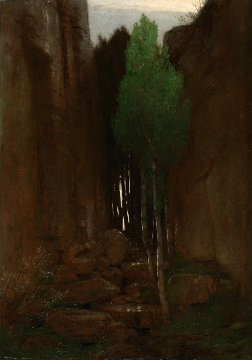 Spring in a Narrow Gorge Quell in einer Felsschluct 1881