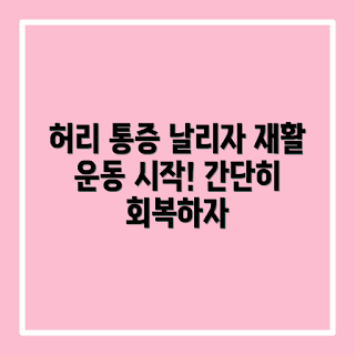 허리 근육 통증, 재활 운동, 허리 통증 완화, 재활 운동 효과, 허리 근육 강화