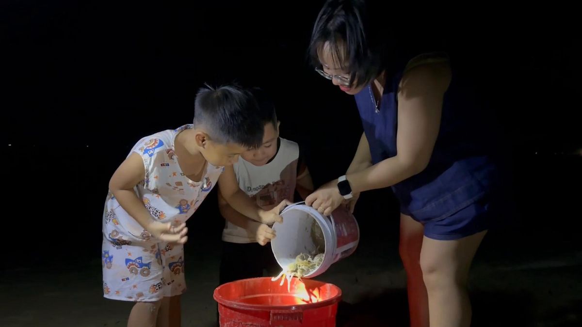Về biển đêm chạy còng - Báo Thừa Thiên Huế