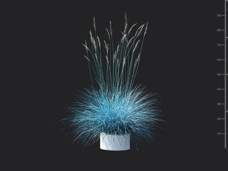 Maxtree - Plant Models Vol.115