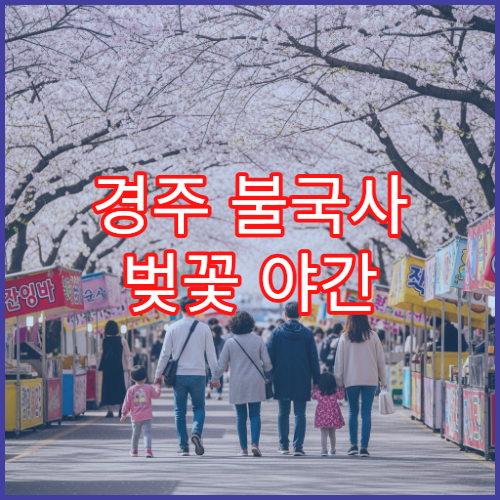 경주 불국사 벚꽃 야간 산책로 조명 켜지는 정확한 시간 실시간 안내