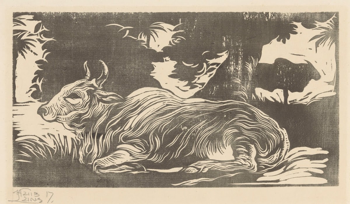 Liggende zebu 1917
