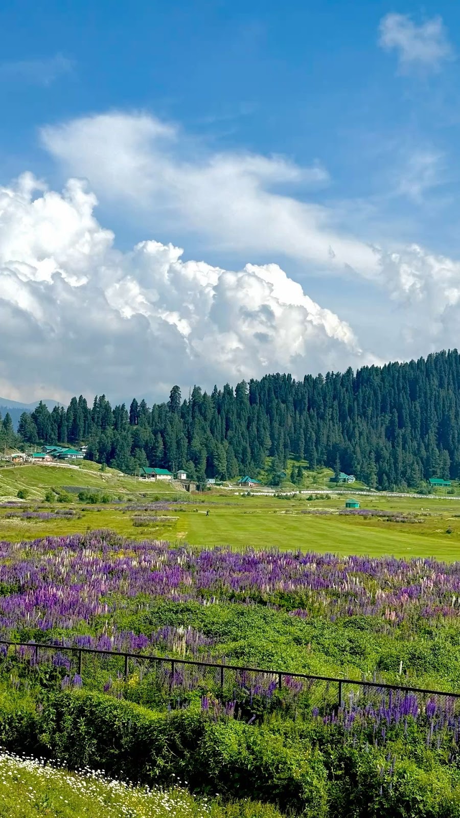 Gulmarg